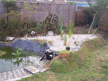Finished reed bed